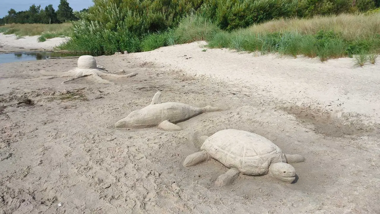 Sälar och sköldpadda formade i sand